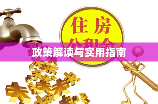招远政策解读与实用指南