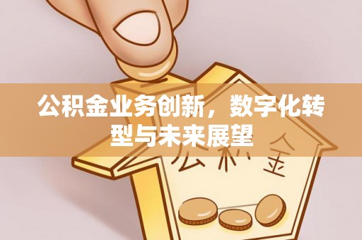 招远公积金业务创新，数字化转型与未来展望