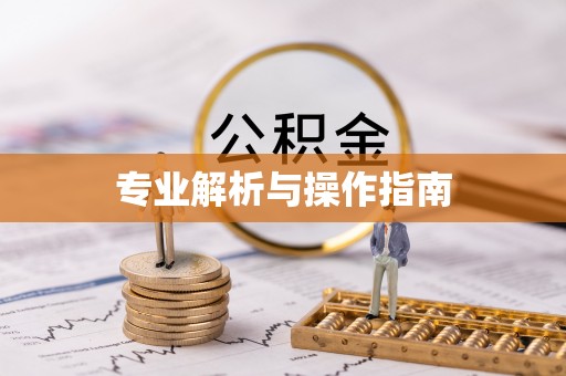 招远专业解析与操作指南
